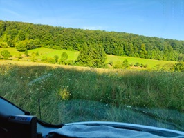 blick aus dem Fenster
